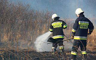 Straż pożarna i eksperci apelują: wypalanie traw wyrządza duże szkody w ekosystemie
